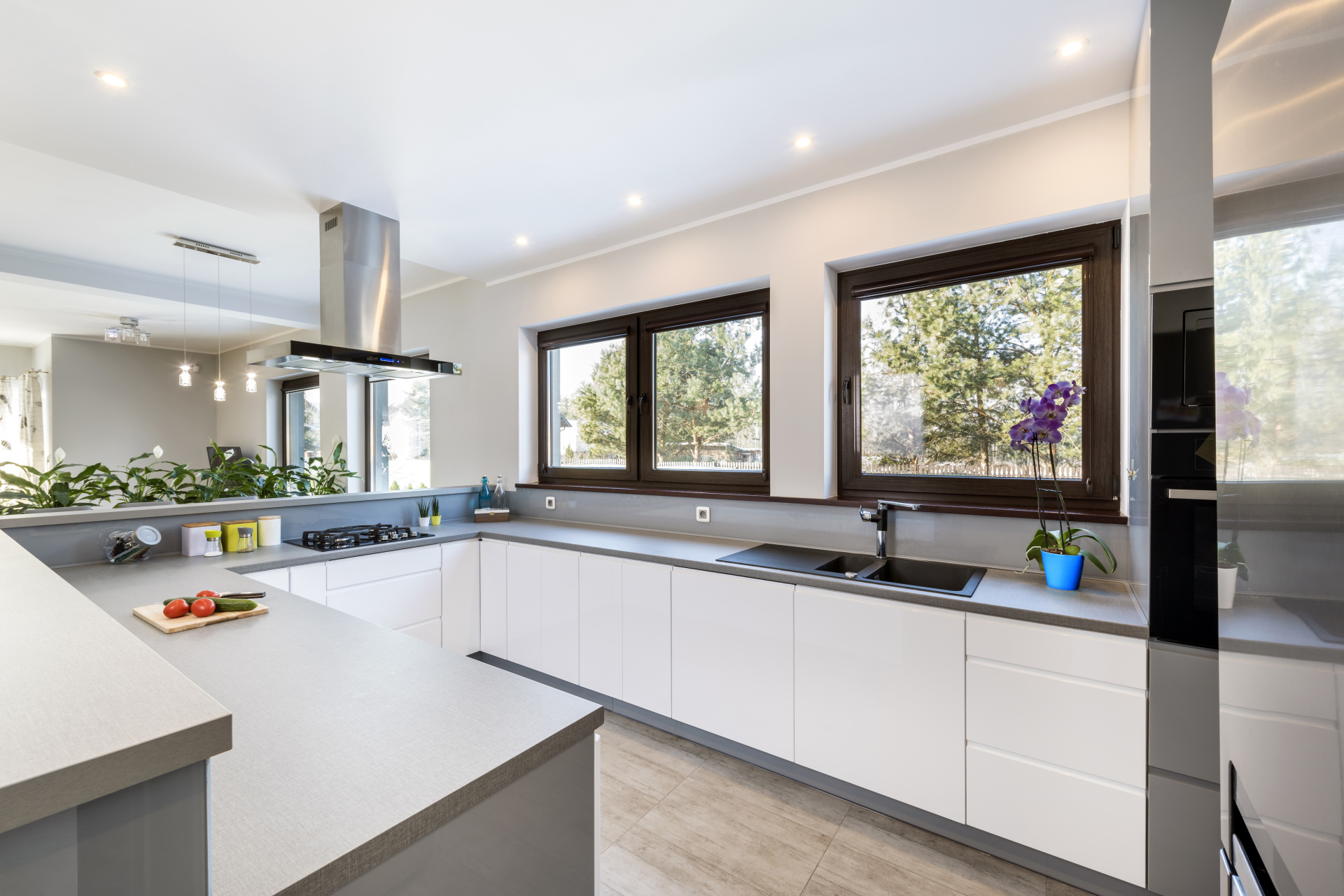 Окна в кухню